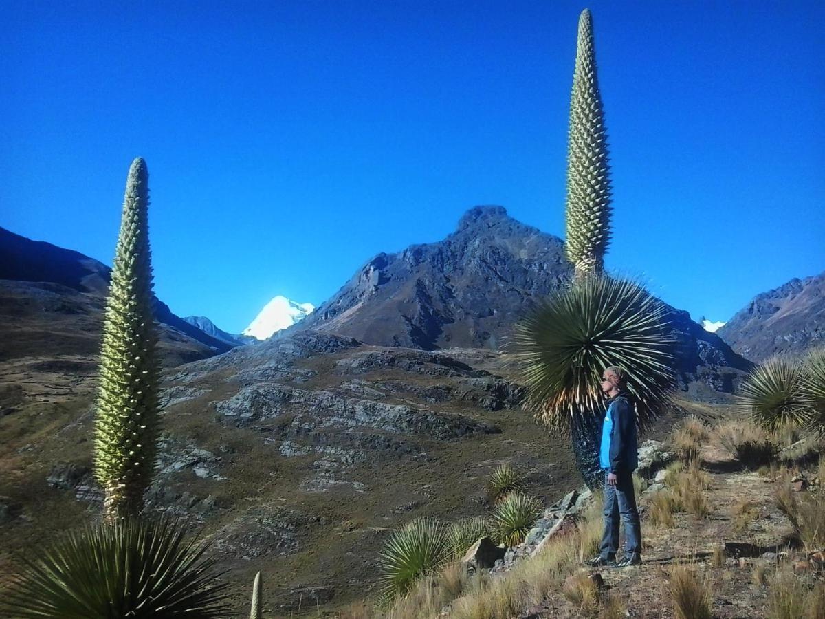 Laguna House Huaraz Kültér fotó